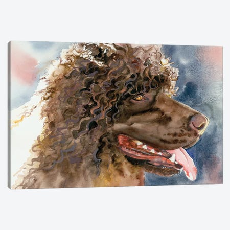 Bog Dog - Irish Water Spaniel Canvas Print #JDI358} by Judith Stein Canvas Art Print
