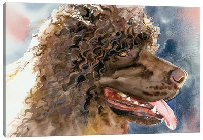 Bog Dog - Irish Water Spaniel Canvas Art Print - Spaniels