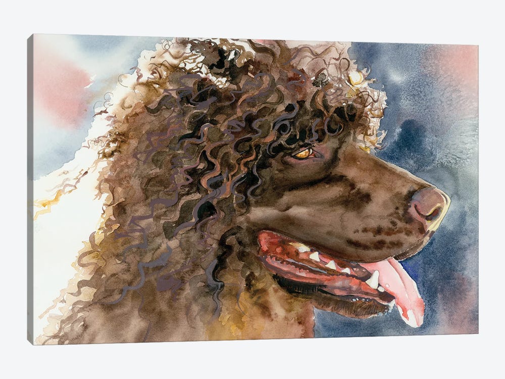 Bog Dog - Irish Water Spaniel by Judith Stein 1-piece Canvas Print