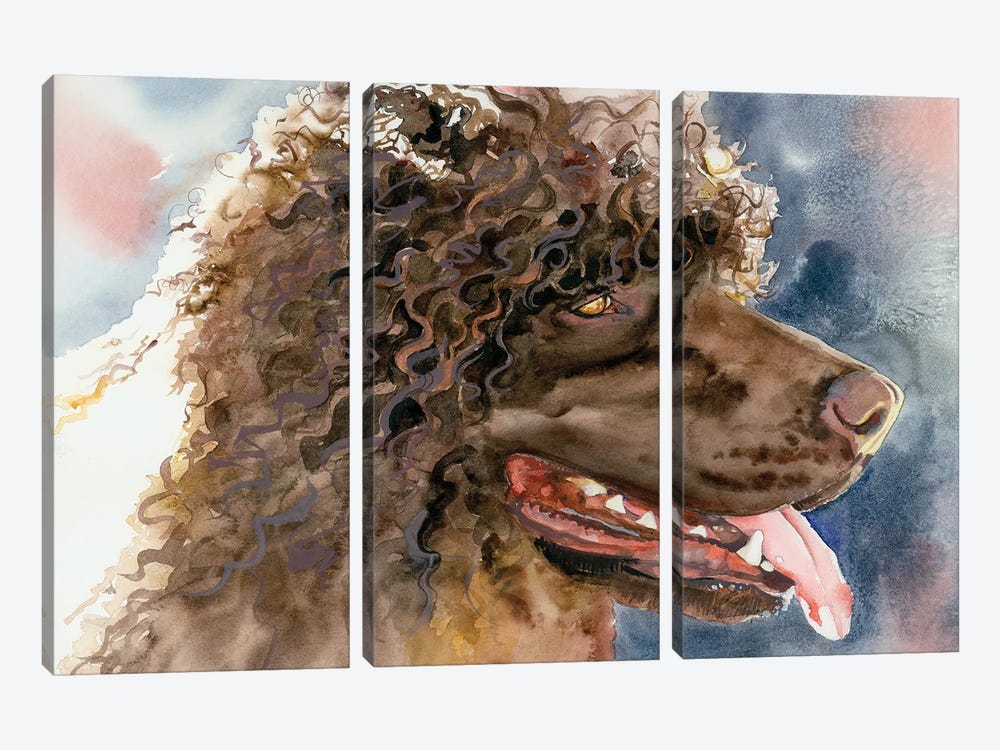 Bog Dog - Irish Water Spaniel by Judith Stein 3-piece Canvas Print