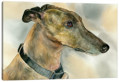 Born To Run - Greyhound Canvas Art Print - Judith Stein