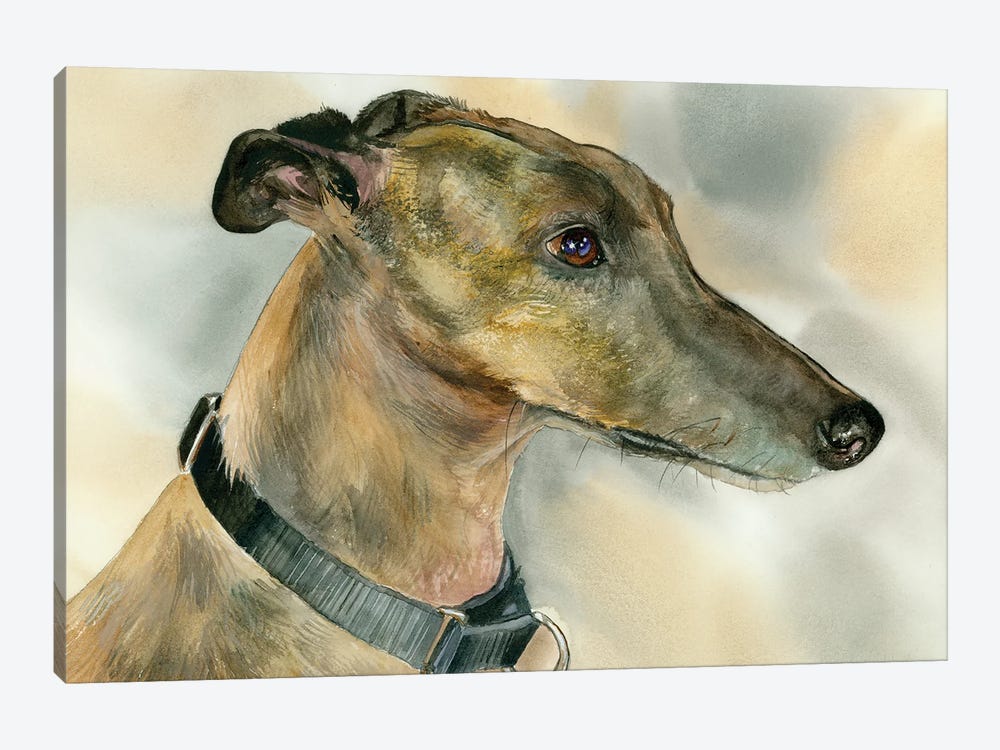 Born To Run - Greyhound by Judith Stein 1-piece Canvas Art