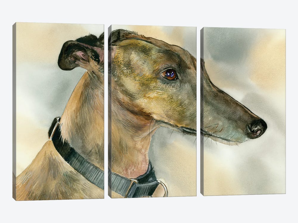 Born To Run - Greyhound by Judith Stein 3-piece Canvas Artwork
