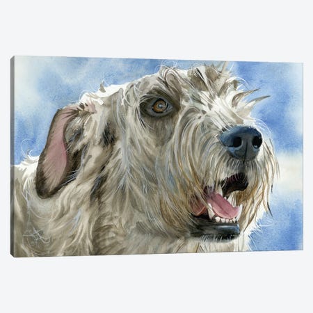 Colossal Canine - Irish Wolfhound Canvas Print #JDI363} by Judith Stein Canvas Wall Art