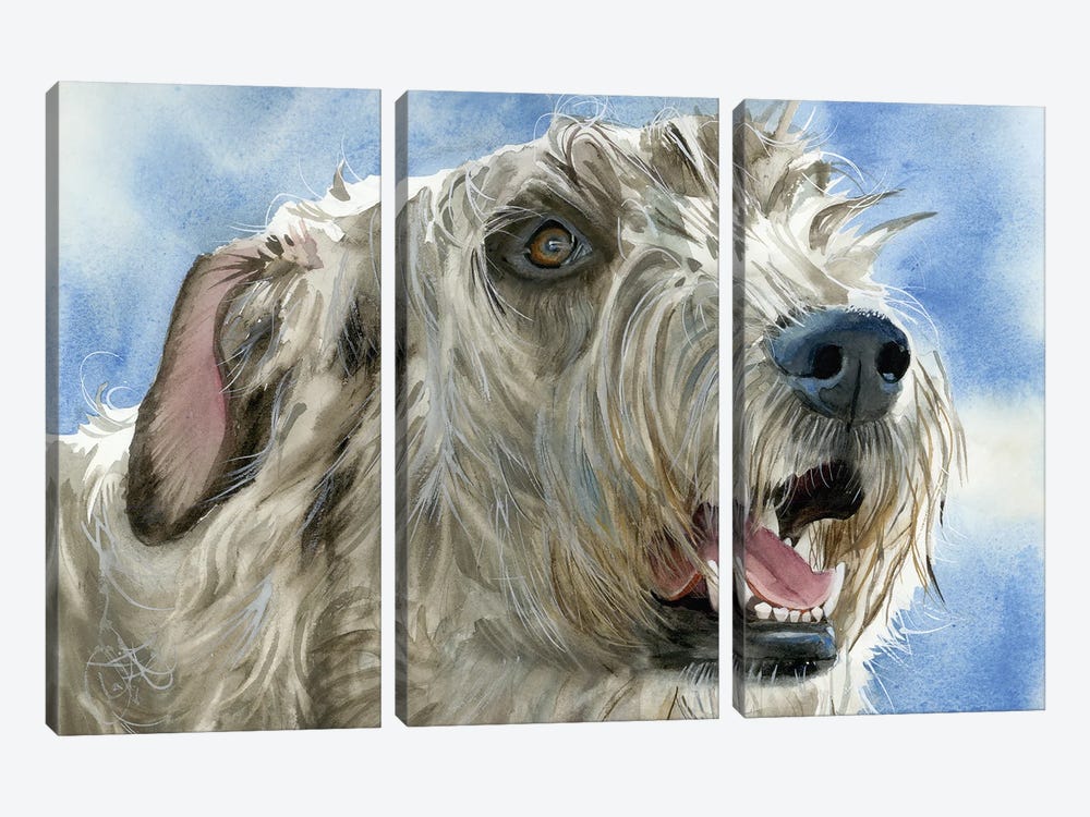 Colossal Canine - Irish Wolfhound by Judith Stein 3-piece Art Print