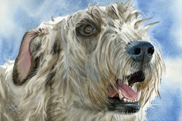 Irish Wolfhounds: Colossal Canine - Irish Wolfhound by Judith Stein