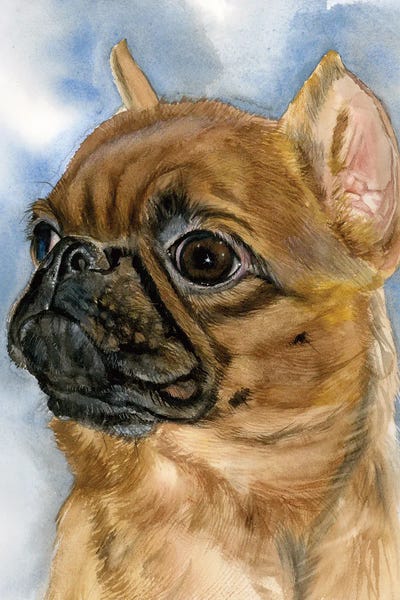Brussels Griffons: Constant Companion - Brussels Griffon by Judith Stein