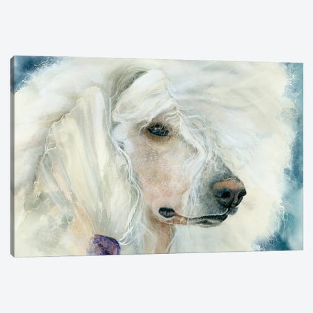 Continental Chic - White Poodle Canvas Print #JDI365} by Judith Stein Canvas Print