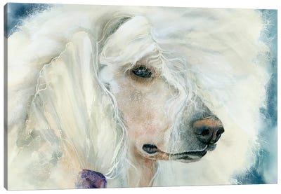 Continental Chic - White Poodle Canvas Art Print - Judith Stein