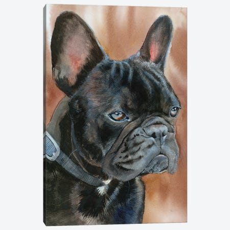 Dexter - French Bulldog Canvas Print #JDI366} by Judith Stein Canvas Art Print