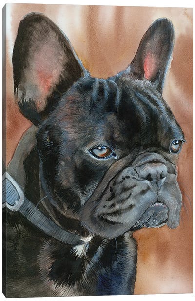 Dexter - French Bulldog Canvas Art Print - French Bulldog Art
