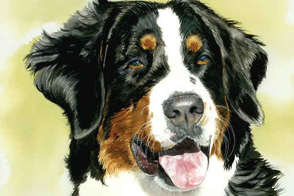 Bernese Mountain Dogs: Diamond - Bernese Mt Dog by Judith Stein