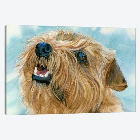 Different Folks - Norfolk Terrier Canvas Print #JDI368} by Judith Stein Canvas Wall Art