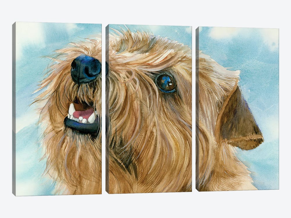 Different Folks - Norfolk Terrier by Judith Stein 3-piece Canvas Artwork
