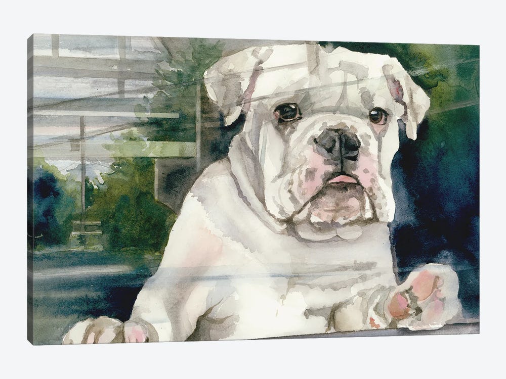 Doggie In The Window - Bulldog by Judith Stein 1-piece Art Print