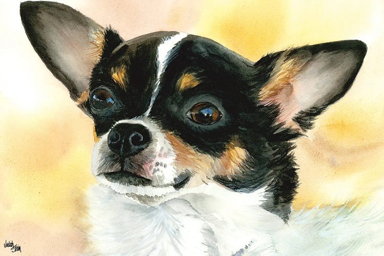Chi Chi - Chihuahua Dog by Judith Stein wall art