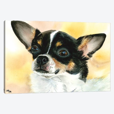 Chi Chi - Chihuahua Dog Canvas Print #JDI36} by Judith Stein Canvas Wall Art