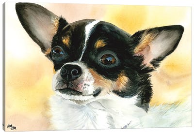 Chi Chi - Chihuahua Dog Canvas Art Print - Judith Stein