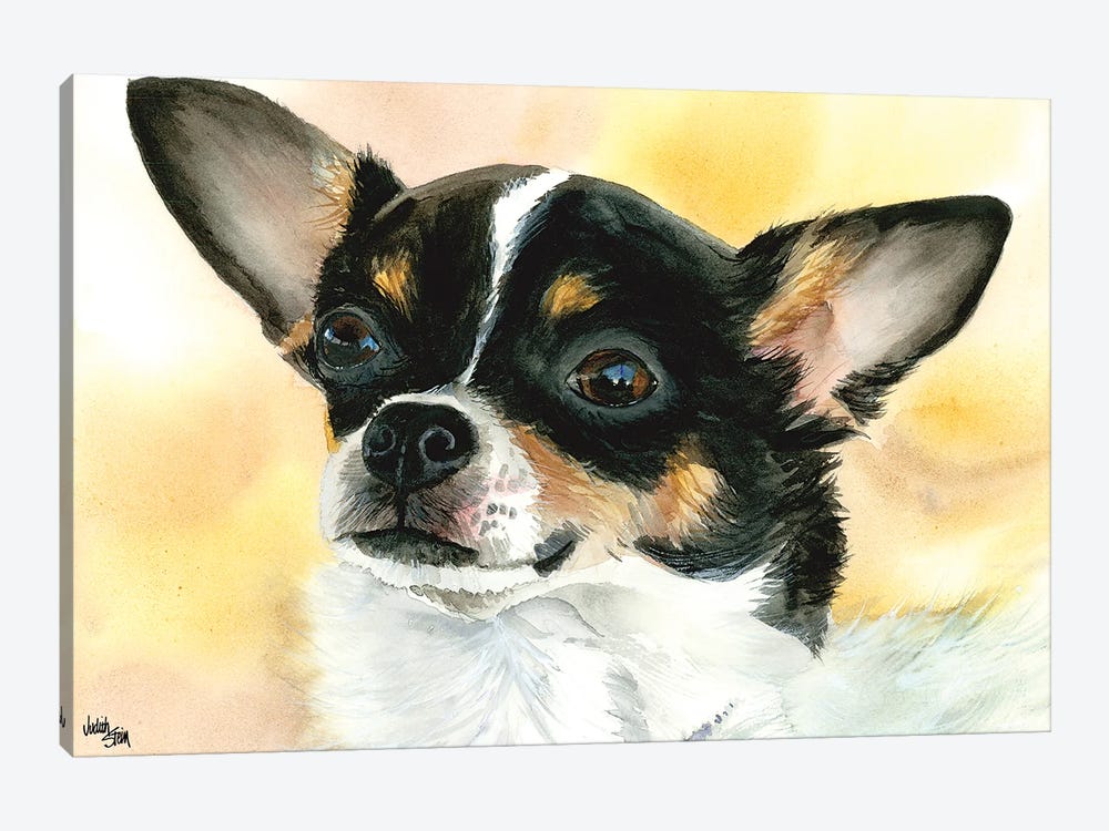 Chi Chi - Chihuahua Dog by Judith Stein 1-piece Canvas Artwork