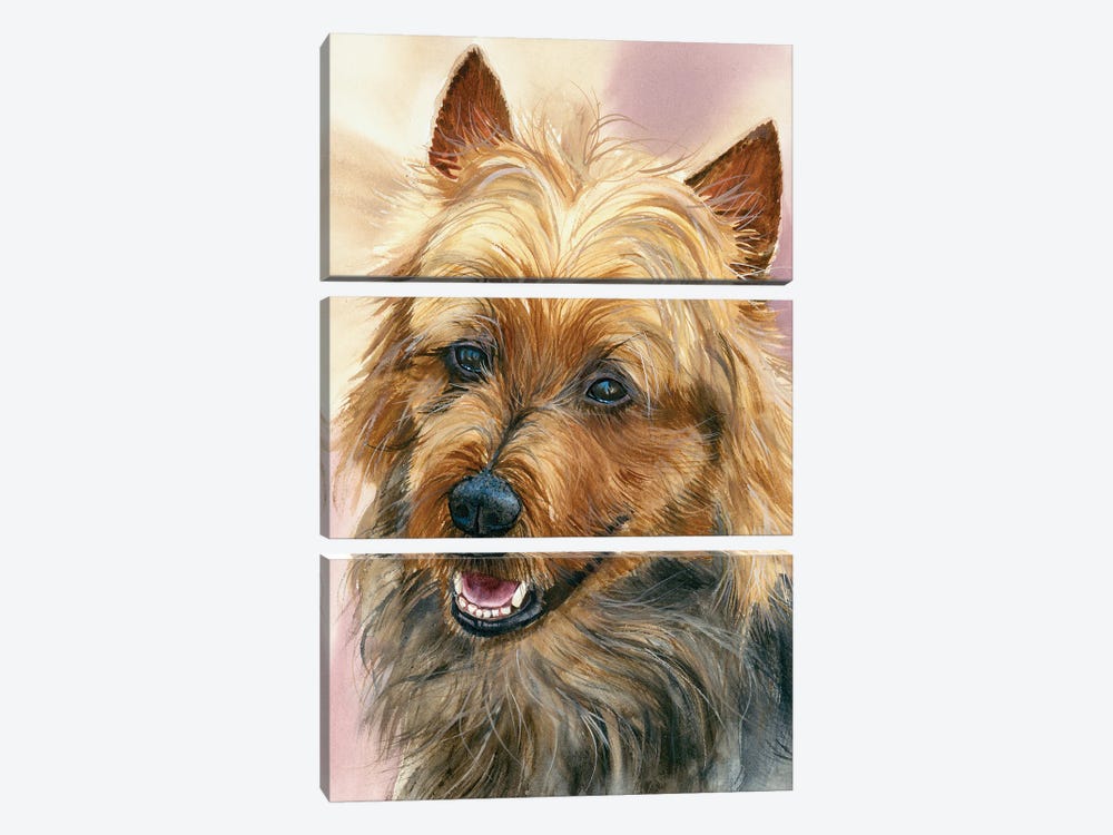 Down Under - Australian Terrier by Judith Stein 3-piece Canvas Wall Art