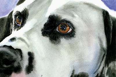 Eyes On The Prize - Dalmatian by Judith Stein metal wall art