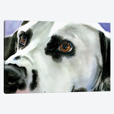 Eyes On The Prize - Dalmatian Canvas Print #JDI373} by Judith Stein Art Print