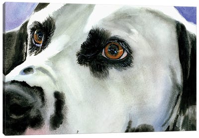 Eyes On The Prize - Dalmatian Canvas Art Print - Dalmatian Art