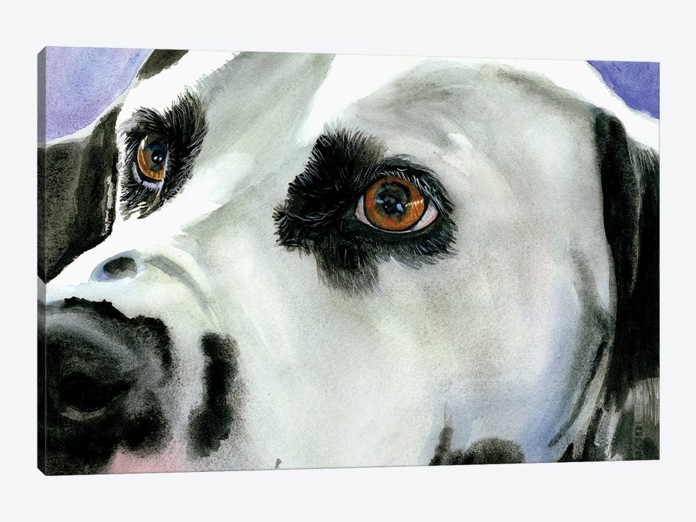 Eyes On The Prize - Dalmatian by Judith Stein 1-piece Canvas Wall Art