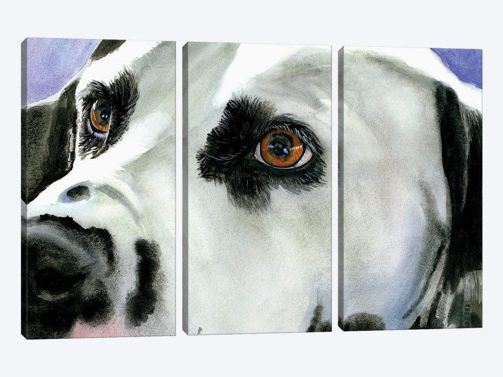 Eyes On The Prize - Dalmatian by Judith Stein 3-piece Canvas Wall Art