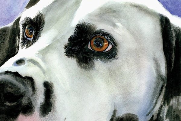 Dalmatians: Eyes On The Prize - Dalmatian by Judith Stein