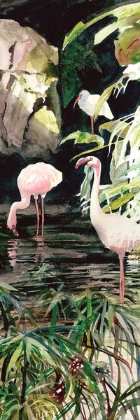 Ponds: Flaming Flamingos by Judith Stein
