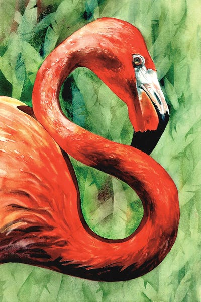 Flamingo by Judith Stein framed wall art