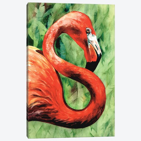 Flamingo Canvas Print #JDI375} by Judith Stein Canvas Wall Art