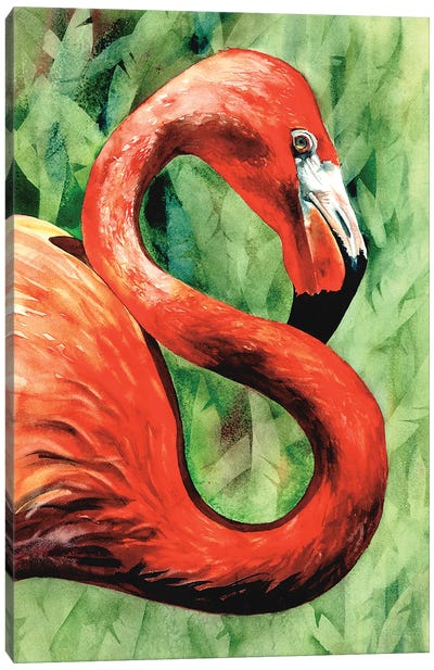 Flamingo Canvas Art Print - Judith Stein