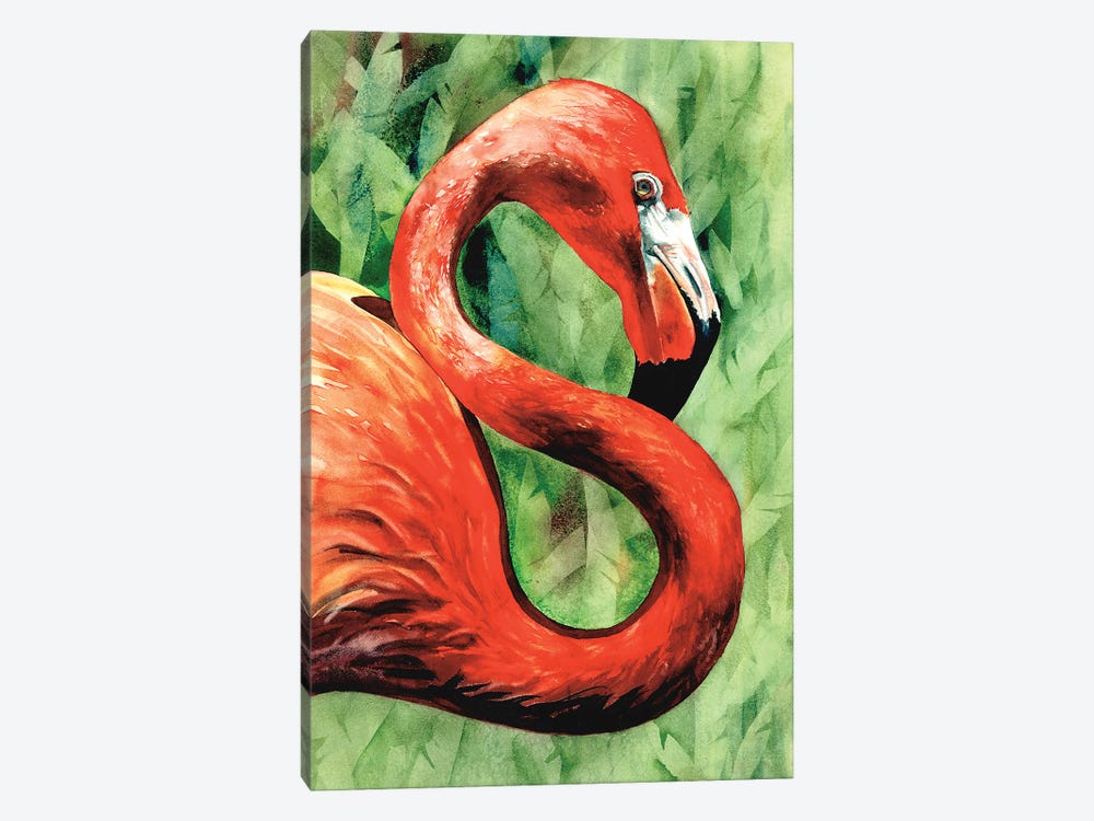 Flamingo by Judith Stein 1-piece Canvas Wall Art