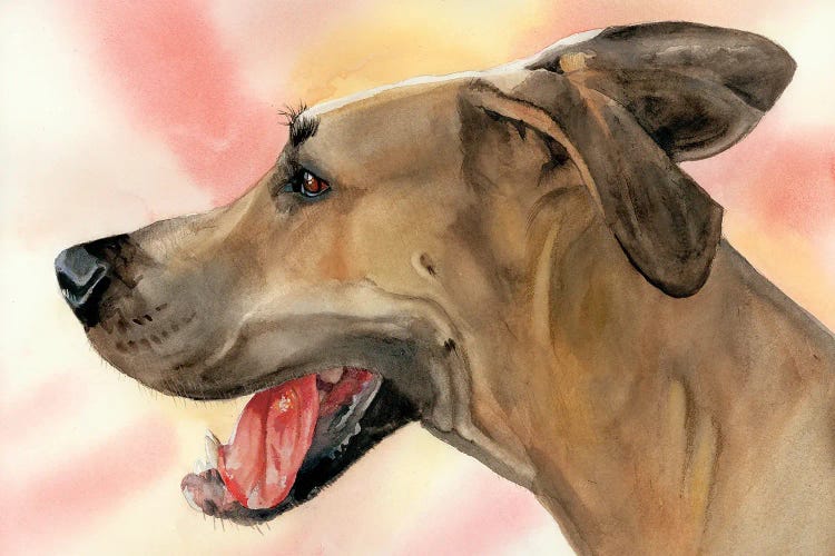 Gentle Giant - Great Dane by Judith Stein wall art