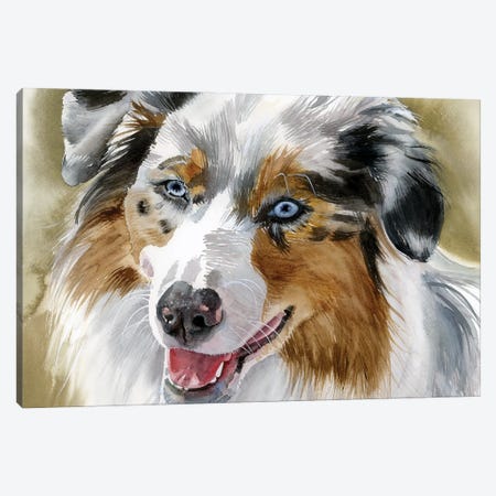 Ghost Eye Dog - Australian Shepherd Canvas Print #JDI378} by Judith Stein Art Print