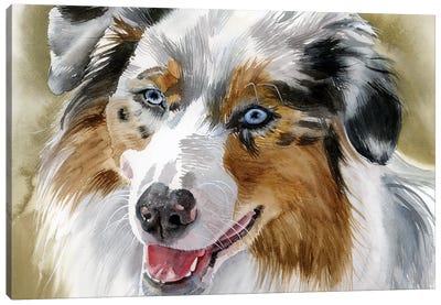Ghost Eye Dog - Australian Shepherd Canvas Art Print - Judith Stein