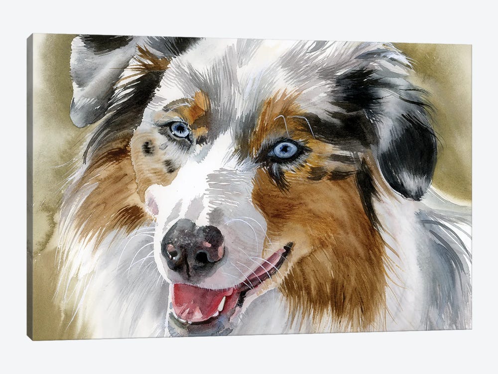 Ghost Eye Dog - Australian Shepherd by Judith Stein 1-piece Canvas Print