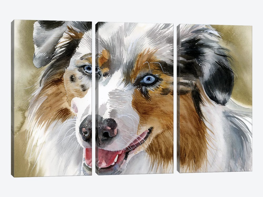 Ghost Eye Dog - Australian Shepherd by Judith Stein 3-piece Canvas Art Print
