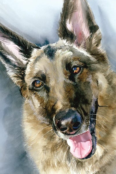 Go Go - German Shepherd Dog by Judith Stein acrylic art print