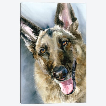 Go Go - German Shepherd Dog Canvas Print #JDI379} by Judith Stein Art Print