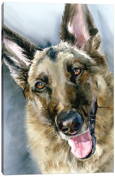 Go Go - German Shepherd Dog Canvas Art Print - Judith Stein