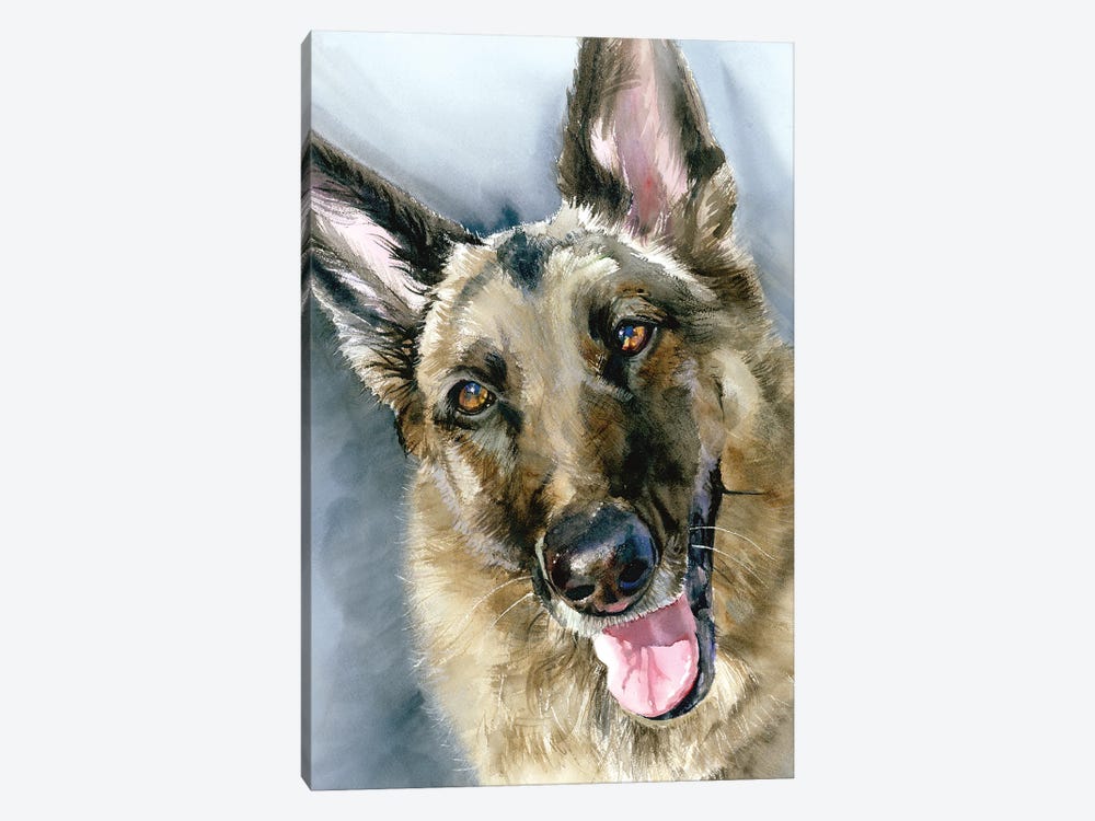 Go Go - German Shepherd Dog by Judith Stein 1-piece Canvas Wall Art