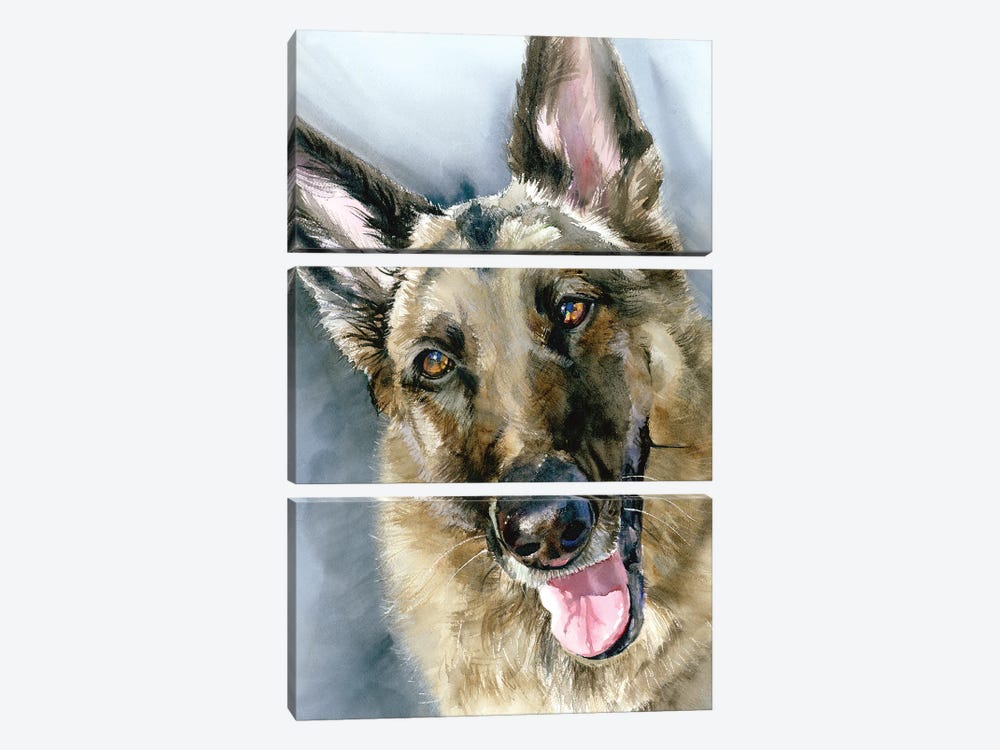 Go Go - German Shepherd Dog by Judith Stein 3-piece Canvas Artwork