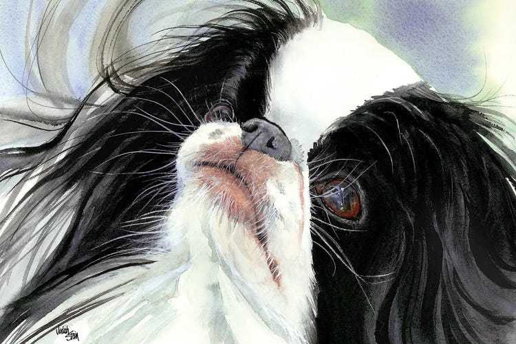 Chin Spin - Japanese Chin