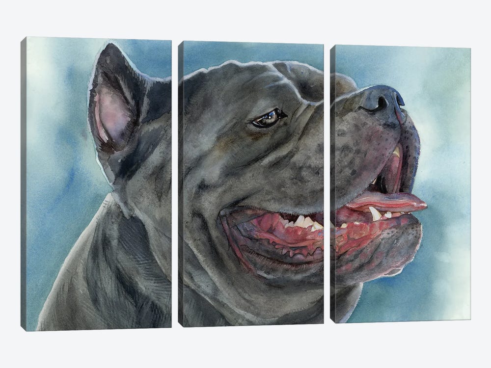 Guard Of The Courtyard - Cane Corso by Judith Stein 3-piece Canvas Artwork
