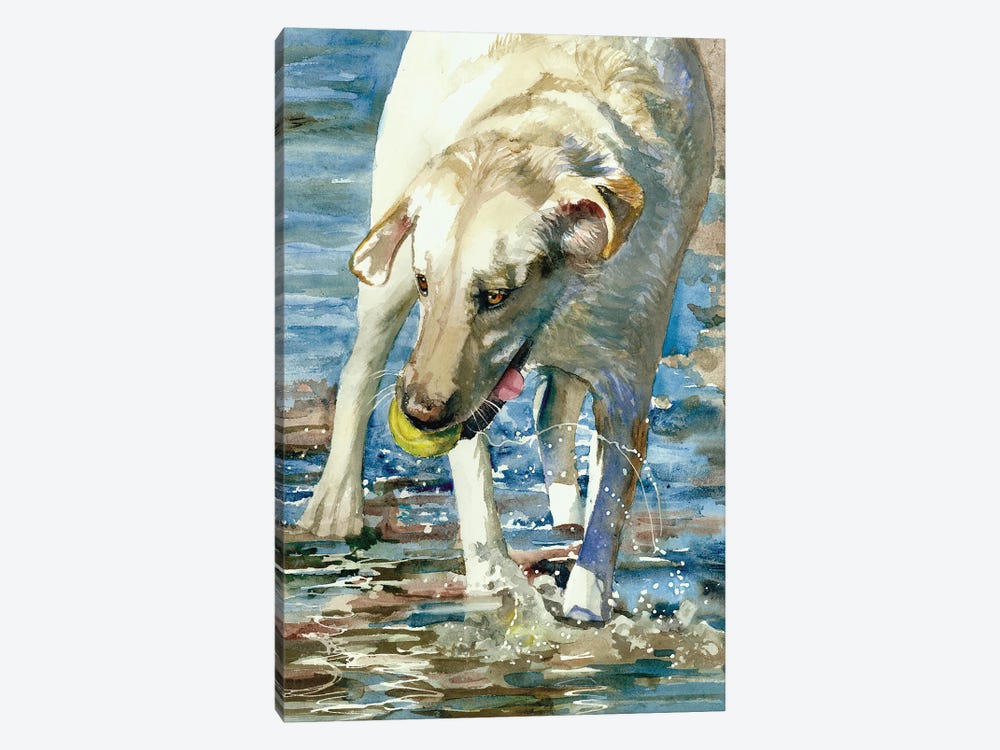 Having A Ball - Labrador Retriever by Judith Stein 1-piece Canvas Art Print