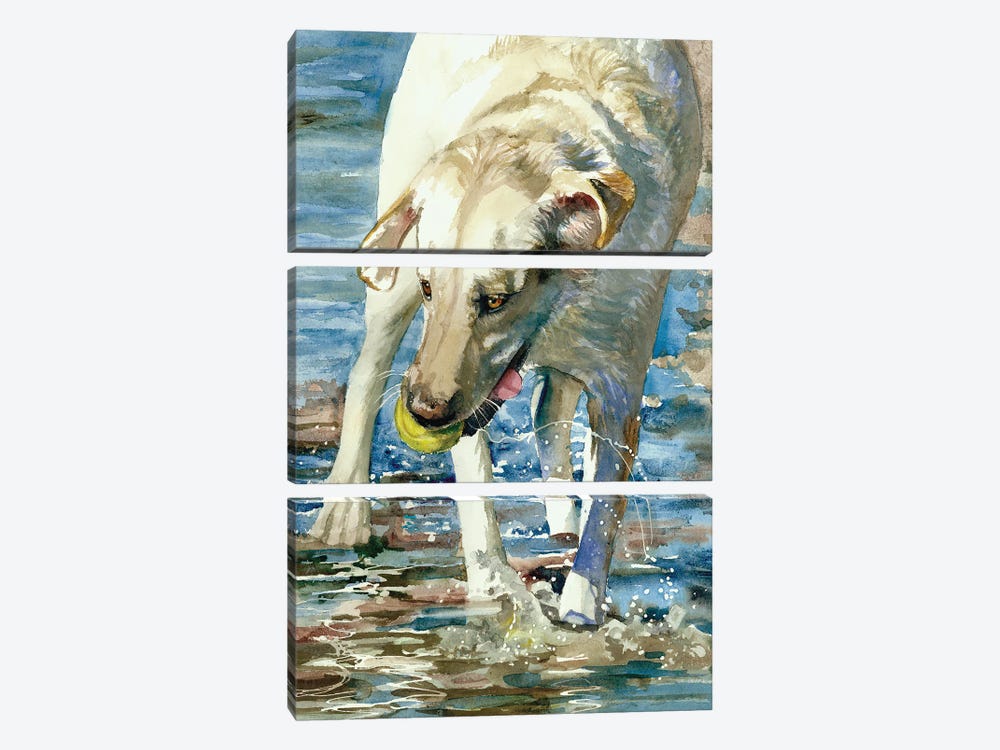 Having A Ball - Labrador Retriever by Judith Stein 3-piece Canvas Art Print