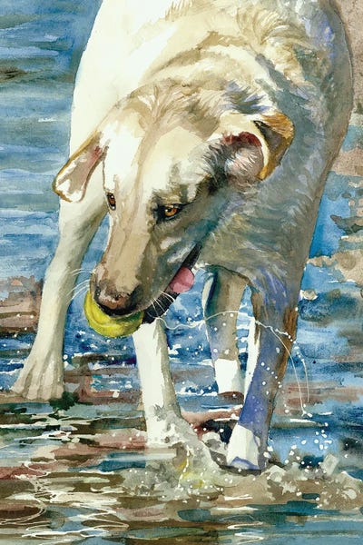 Labrador Retrievers: Having A Ball - Labrador Retriever by Judith Stein